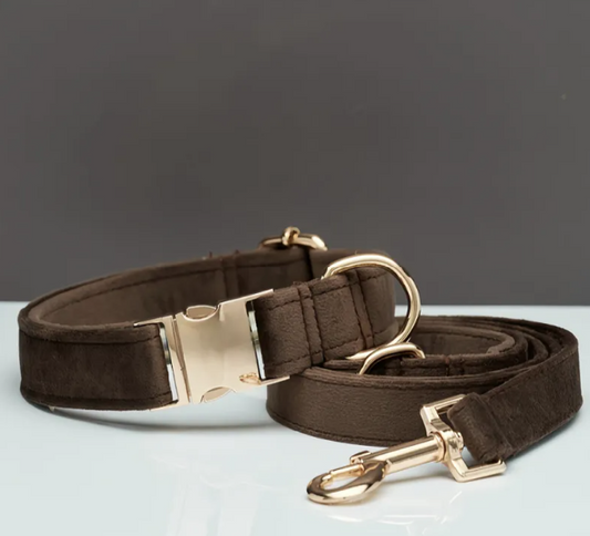 FieryFur Personalized Velvet Dog Collar & Leash Set with Bow – Custom Engraved Name Tag