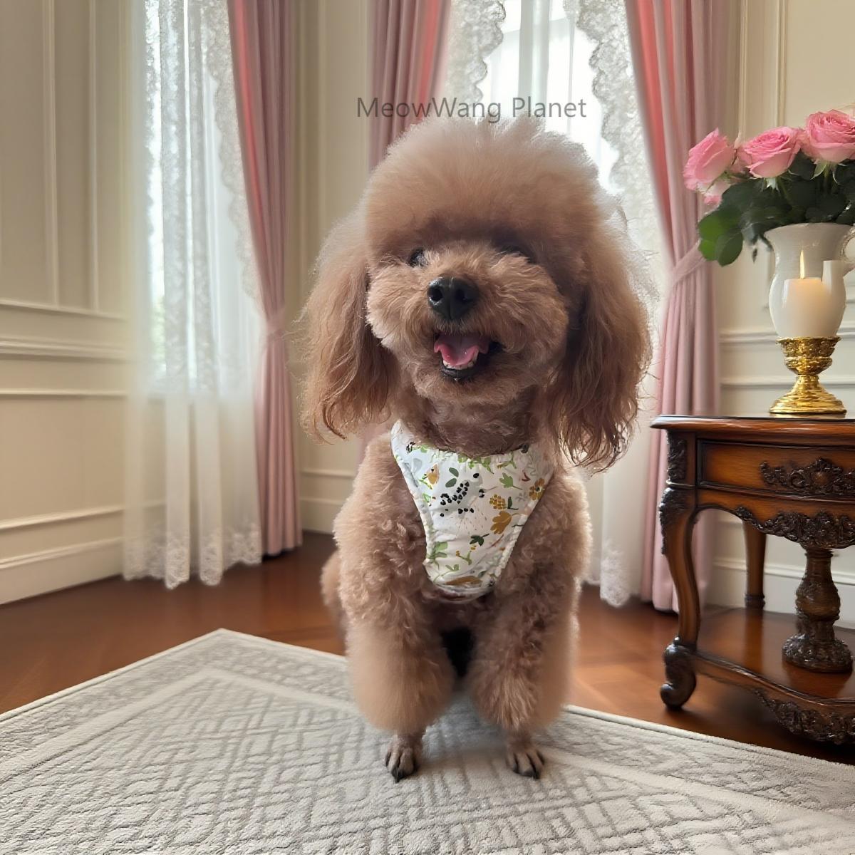 FieryFur Elegant Bowknot Pet Harness & Leash Set – Adjustable Half-Vest Design for Cats & Small Dogs