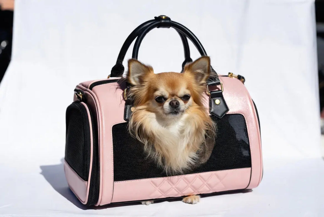 Luxury dog carrier for small dogs 2026 – stylish airline approved pet carrier perfect for USA flights and road trips by FieryFur
