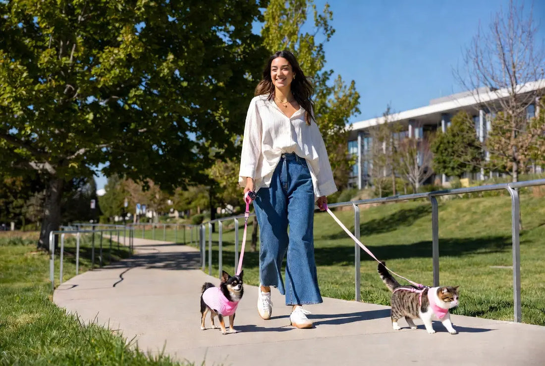 Matching Outfits for You and Your Small Dog or Cat in 2026 – The Ultimate Family Fashion Guide Fieryfur