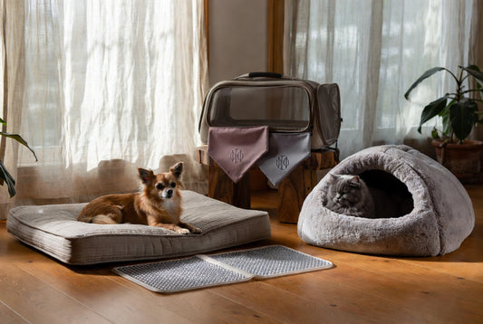 Small Chihuahua on orthopedic bolster bed and gray cat in self-warming cave with shared cooling mat and personalized bandanas, showing harmonious multi-pet luxury setup
