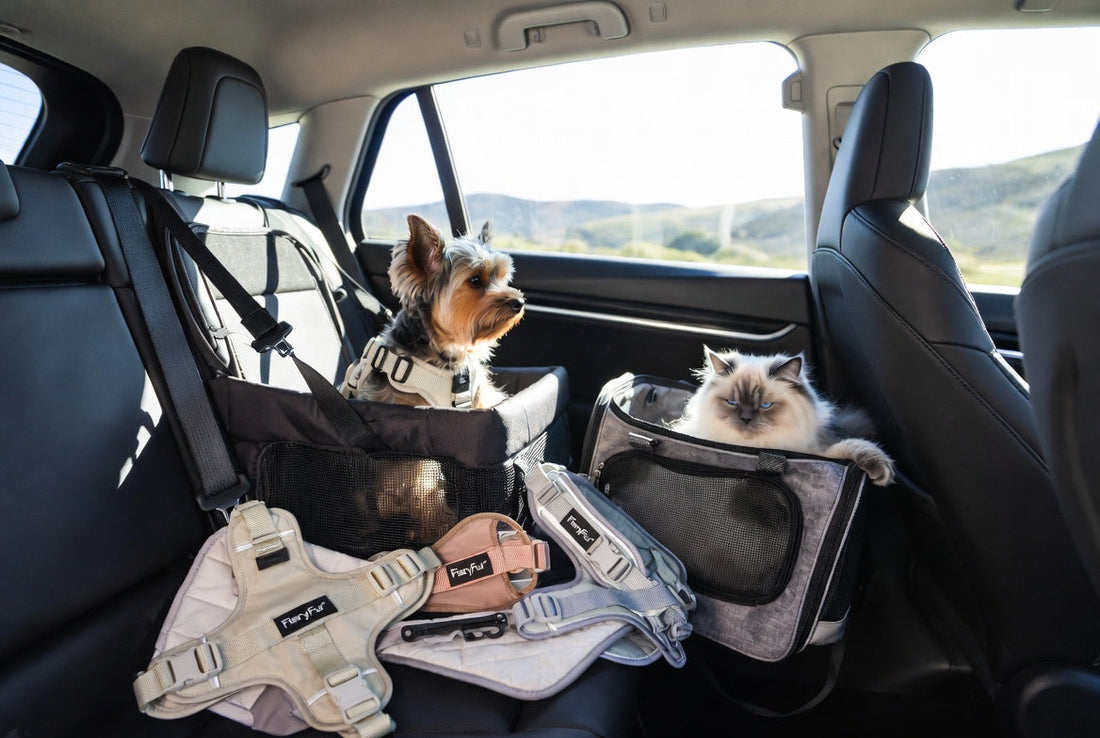 Yorkshire Terrier in luxury pet car seat and Ragdoll cat in carrier with safety gear from FieryFur, 2026 vehicle travel for small pets