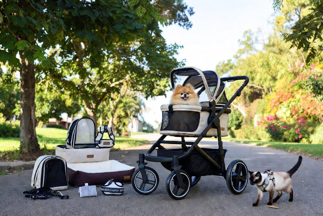 Pomeranian in luxury pet stroller and Siamese cat with mobility gear from FieryFur in a park, 2026 small pet adventures