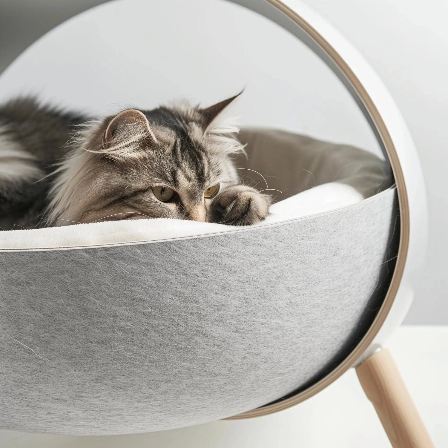 luxury dog beds and pet comfort accessories collection for small dogs