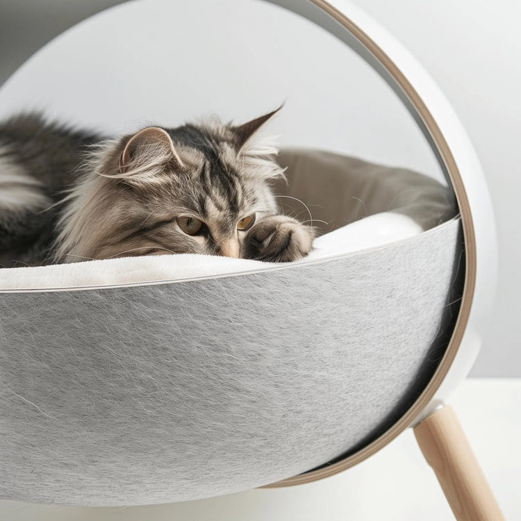 luxury dog beds and pet comfort accessories collection for small dogs