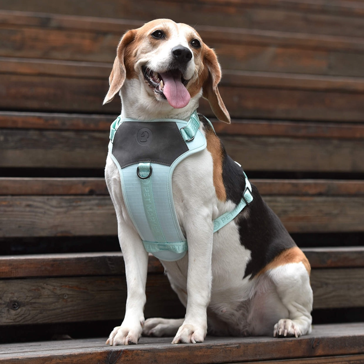 PETMARVEL Adjustable Embroidered Stylish Dog Harness – Step-In Jacquard Design for Comfort, Control & Style