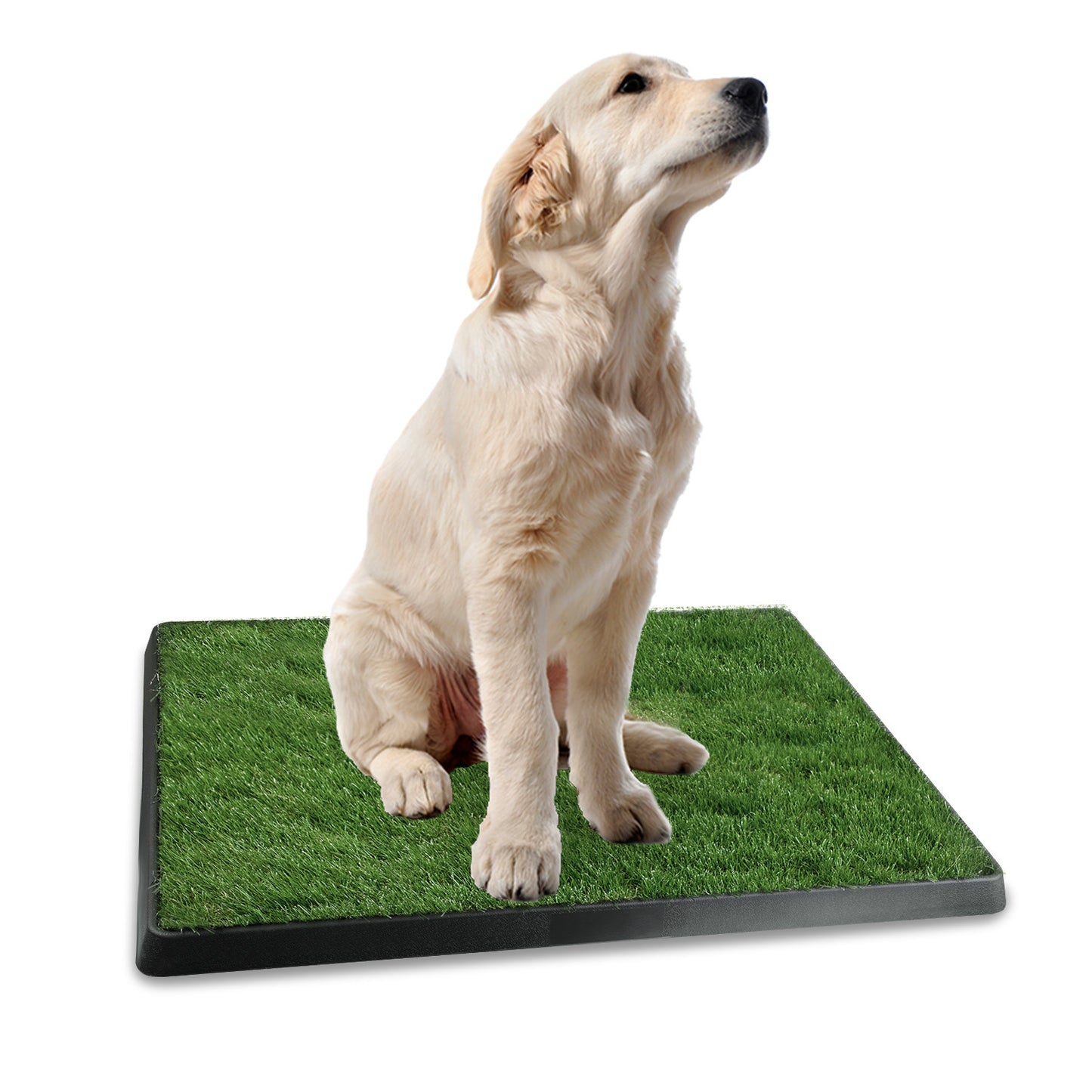 1Pc Dog Potty Training Artificial Grass Pad – Indoor & Outdoor Puppy Toilet Trainer