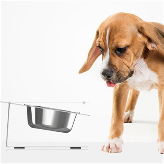 Anti-Falling Cat and Dog Feeding Water Bowl – Tilted Stainless Steel Pet Feeder