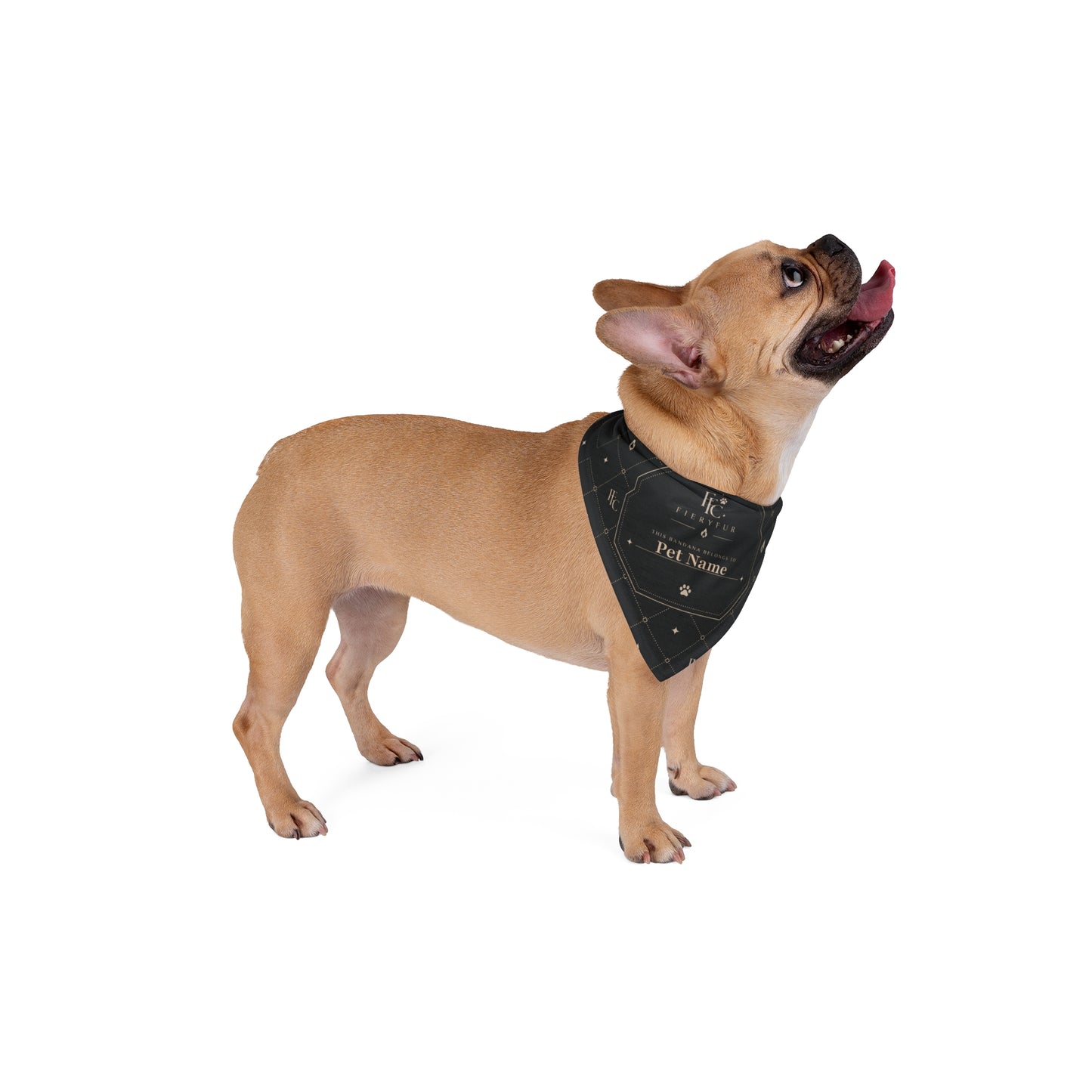 Luxury Personalized Pet Bandana for Dogs & Cats | Signature Dark Fiery Couture