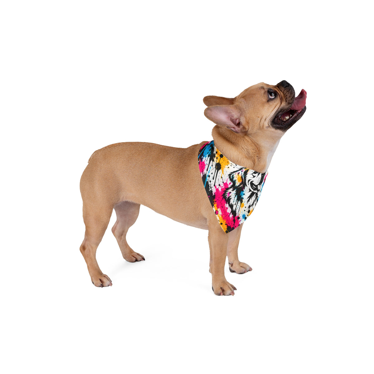 Personalized Custom Dog Bandana – FieryFur Couture