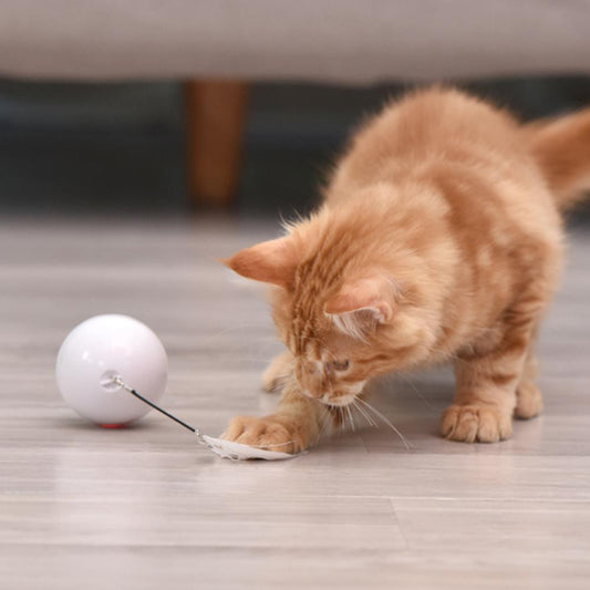 LED Laser Rolling Cat Toy Ball – Interactive 360° Light-Up Fun for Curious Cats