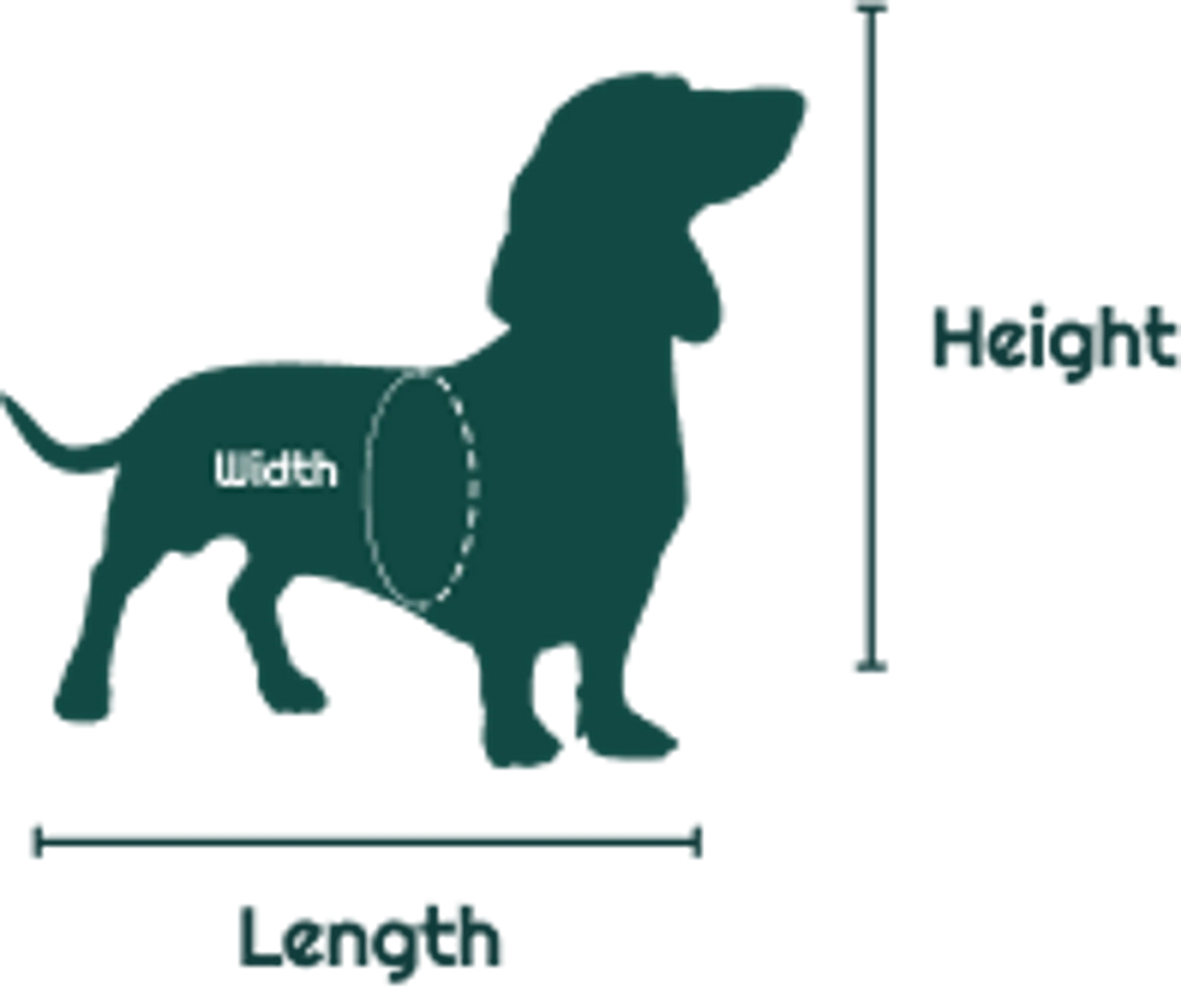 Gold Series Airline Approved Pet Carrier – Soft-Sided Travel Carrier for Small Pets Mr. Peanut's Premium Products