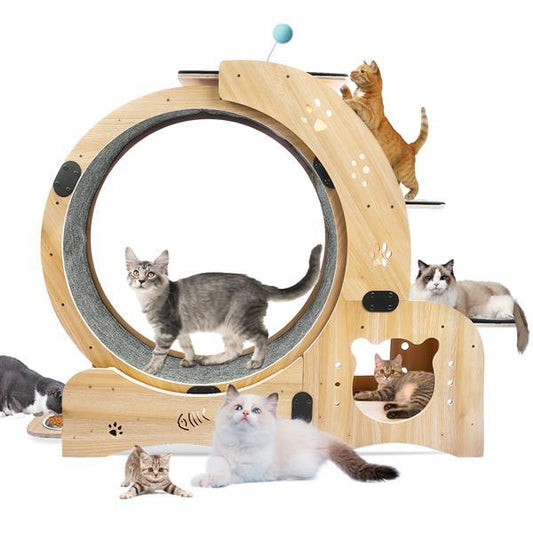 6-in-1 Cat Exercise Wheel – Upgraded Indoor Cat Running Wheel for Fitness & Play