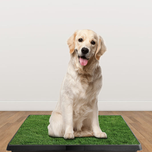 1Pc Dog Potty Training Artificial Grass Pad – Indoor & Outdoor Puppy Toilet Trainer