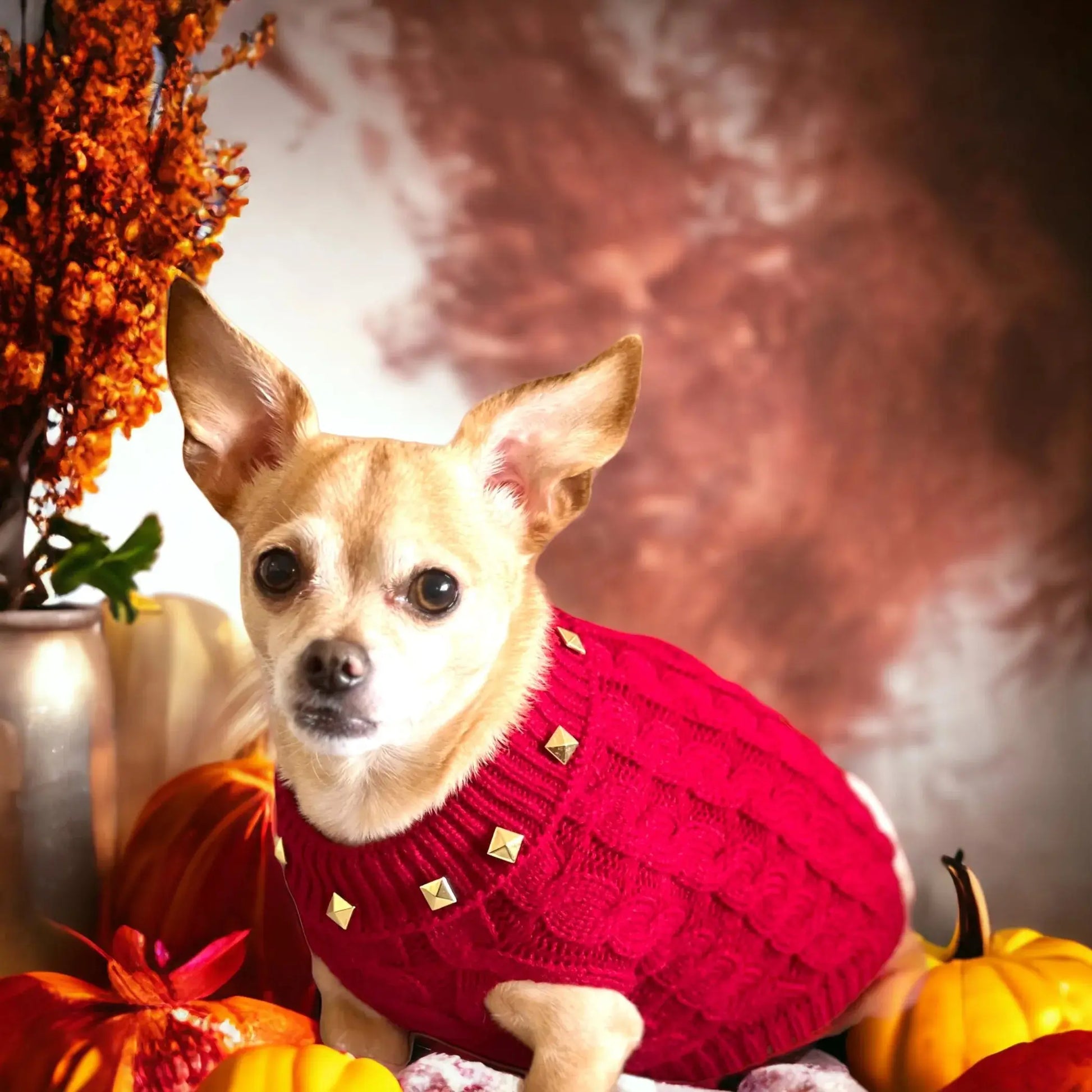 Studded Knit Turtleneck Dog Sweater – Chic Gold Studded Pet Sweater Bark Fifth Avenue