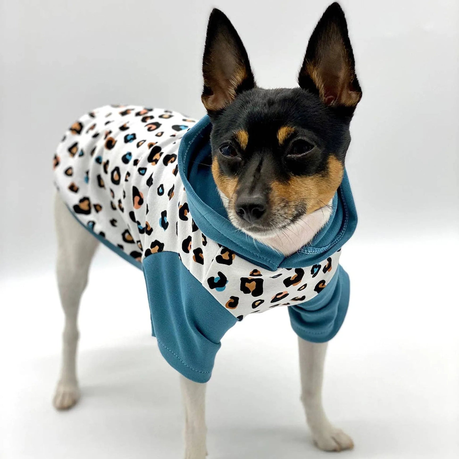 DCNY Unisex Leopard Print Hoodie - Limited Edition DoggieCoutureNY