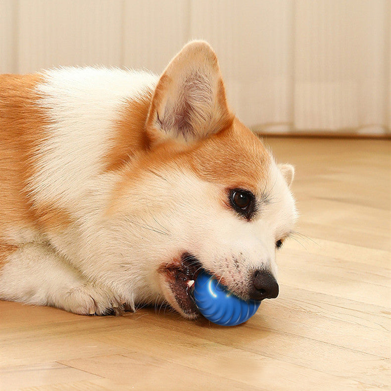 Rubber Dog Chew Ball – Durable Training and Play Toy