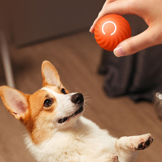 Rubber Dog Chew Ball – Durable Training and Play Toy