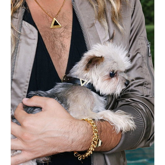 Jet Onyx Match Your Pet Gift Set – Crystal Collar & Necklace Set DIPHDA