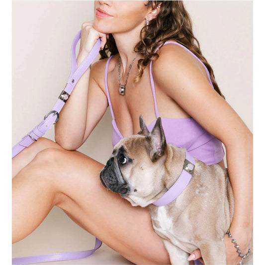 Lavender Rose Match Your Pet Gift Set – Crystal Collar & Necklace Set DIPHDA