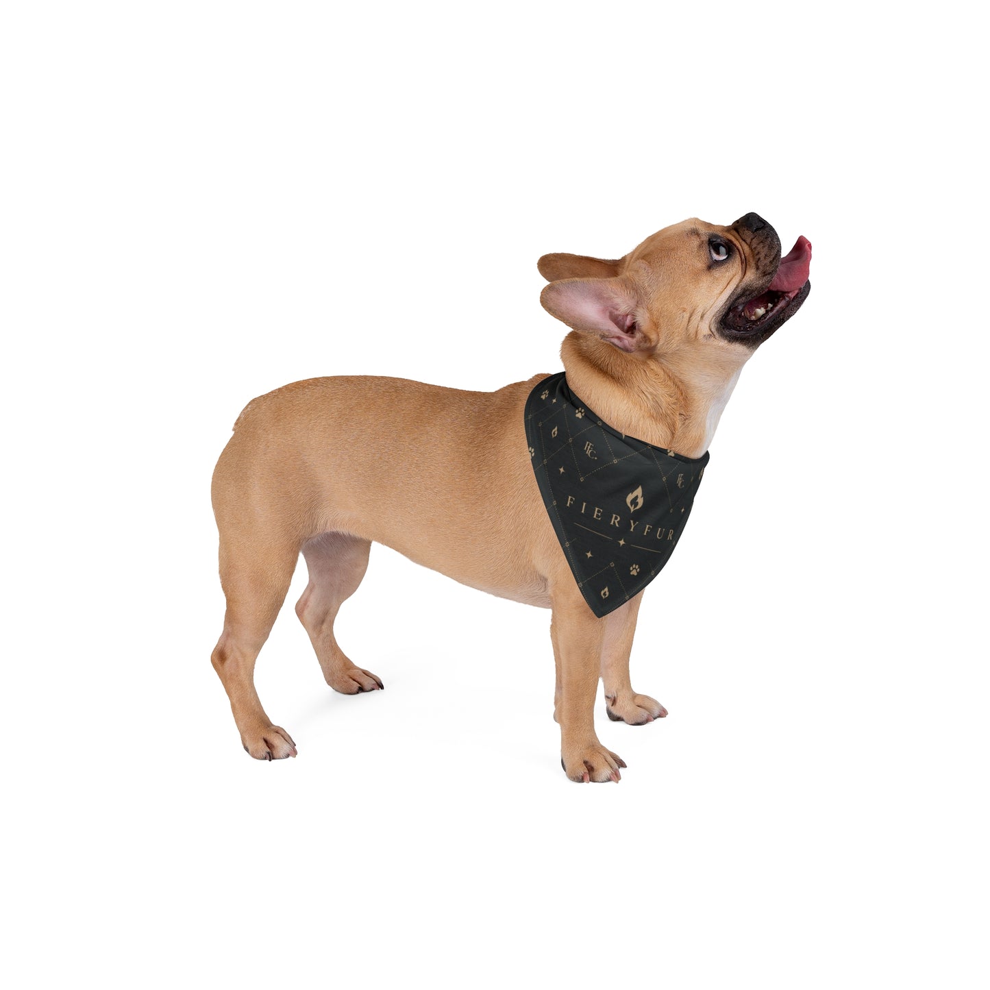 Luxury Personalized Pet Bandana for Dogs & Cats | Signature Dark Fiery Couture