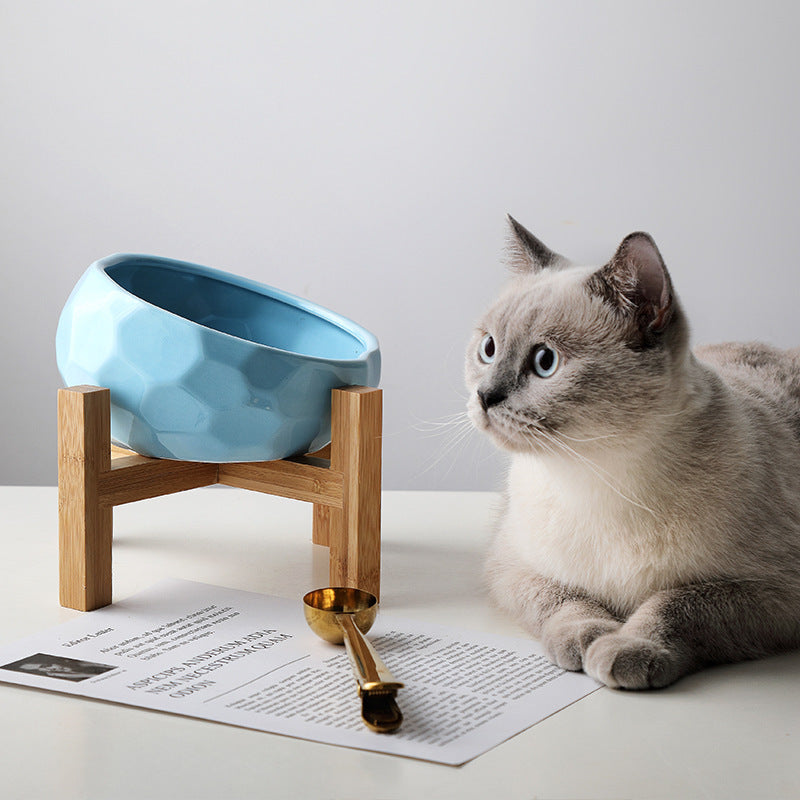 Pet Bowl with Wooden Stand – Oblique Ceramic Cat & Dog Food Bowl