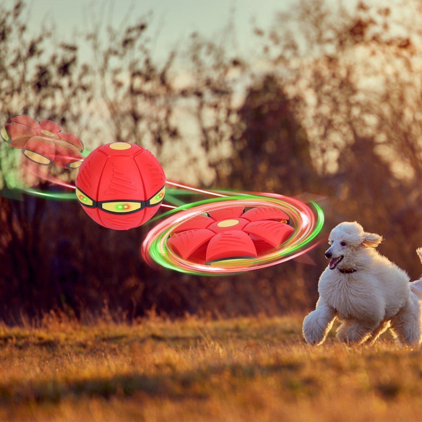 4 Pack Flying Saucer Ball – Electric Colorful Flying UFO Toy with LED Lights for Pets & Kids (Outdoor Interactive Play)