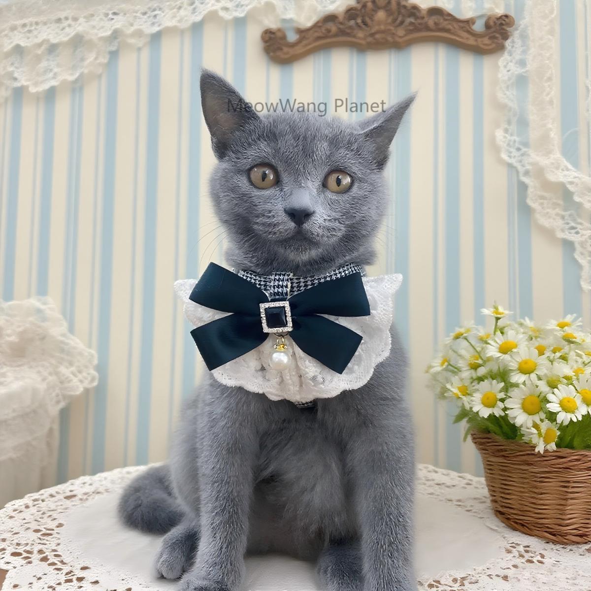 FieryFur Luxury Lace Pet Harness & Leash Set – Elegant Adjustable Escape-Proof Vest for Cats & Small Dogs