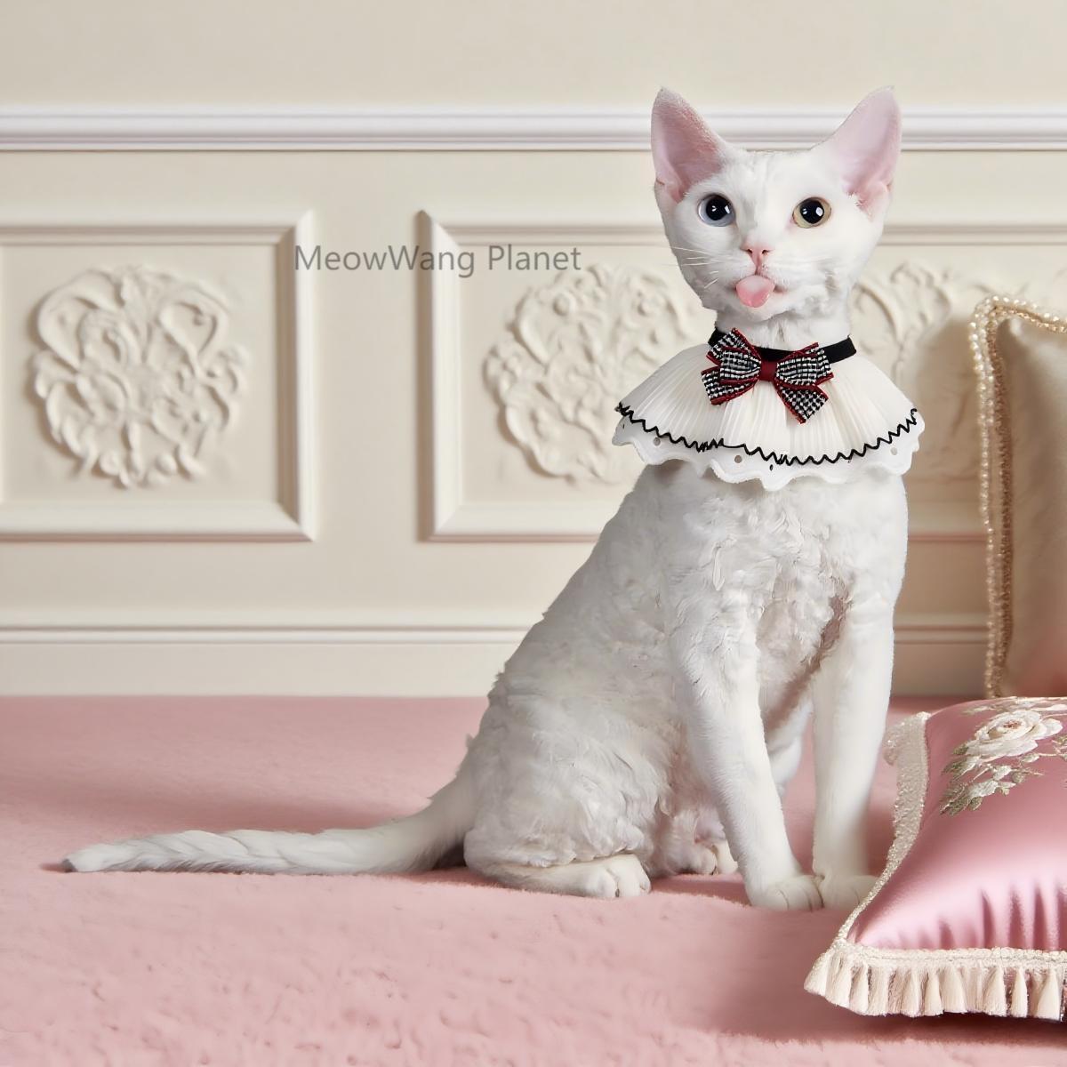 FieryFur Lace Bow Pet Collar – Elegant Handcrafted Neck Accessory for Cats & Small Dogs