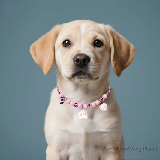 FieryFur Luxury Adjustable Pet Collar – Minimalist Durable Necklace Style for Cats & Small to Medium Dogs