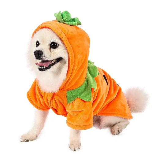 Dog Hoodie – Cute Funny Halloween Pumpkin Cosplay Costume
