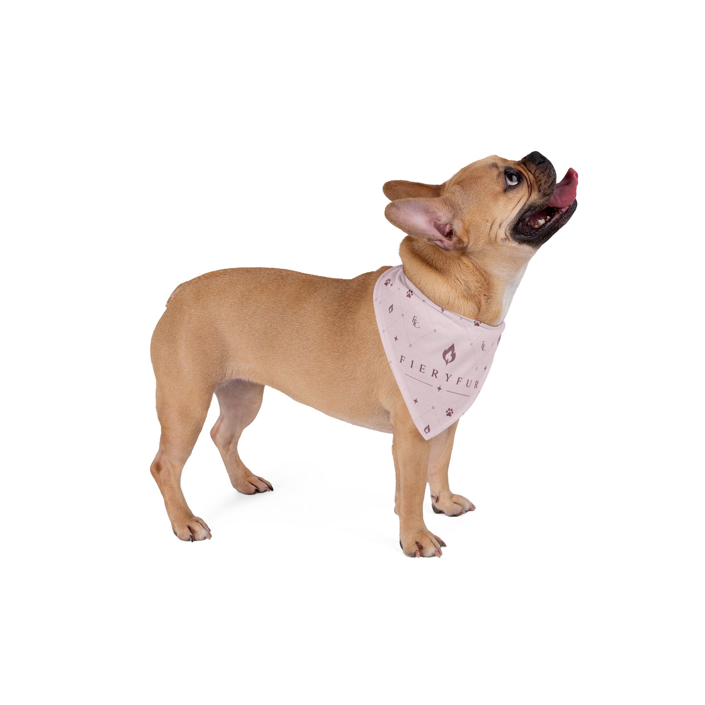 Luxury Personalized Pet Bandana for Dogs & Cats | Soft Mauve Signature Fiery Couture