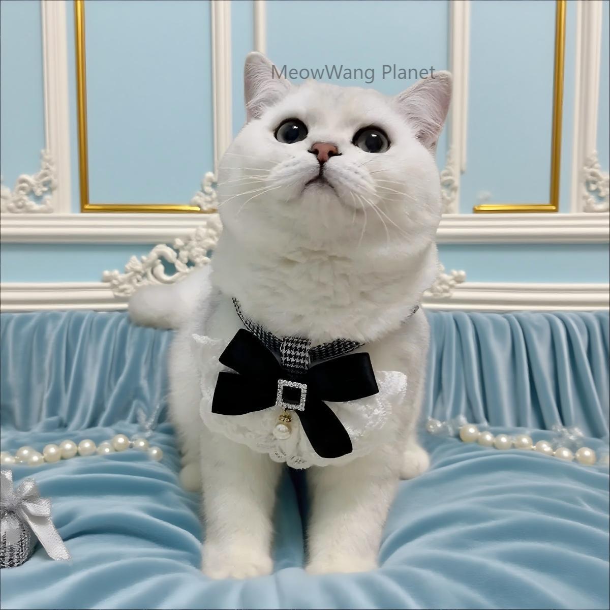 FieryFur Luxury Lace Pet Harness & Leash Set – Elegant Adjustable Escape-Proof Vest for Cats & Small Dogs