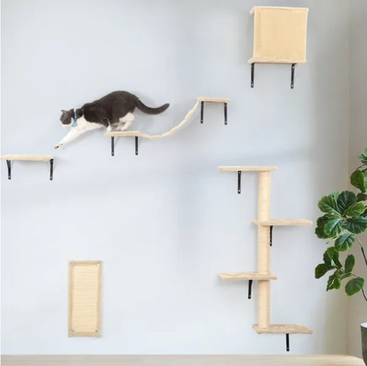 5-Piece Wall-Mounted Cat Climber Set – Modern Cat Activity Center