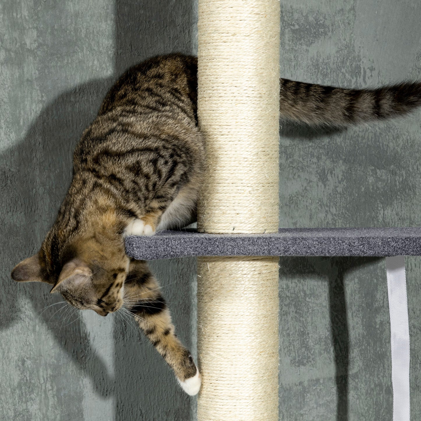 Floor to Ceiling Cat Tree – Adjustable Multi-Level Climbing Tower