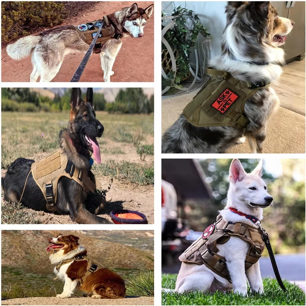 Pet Harness Luxury Dog Leash Set – Tactical 1000D Nylon Camouflage Training Vest