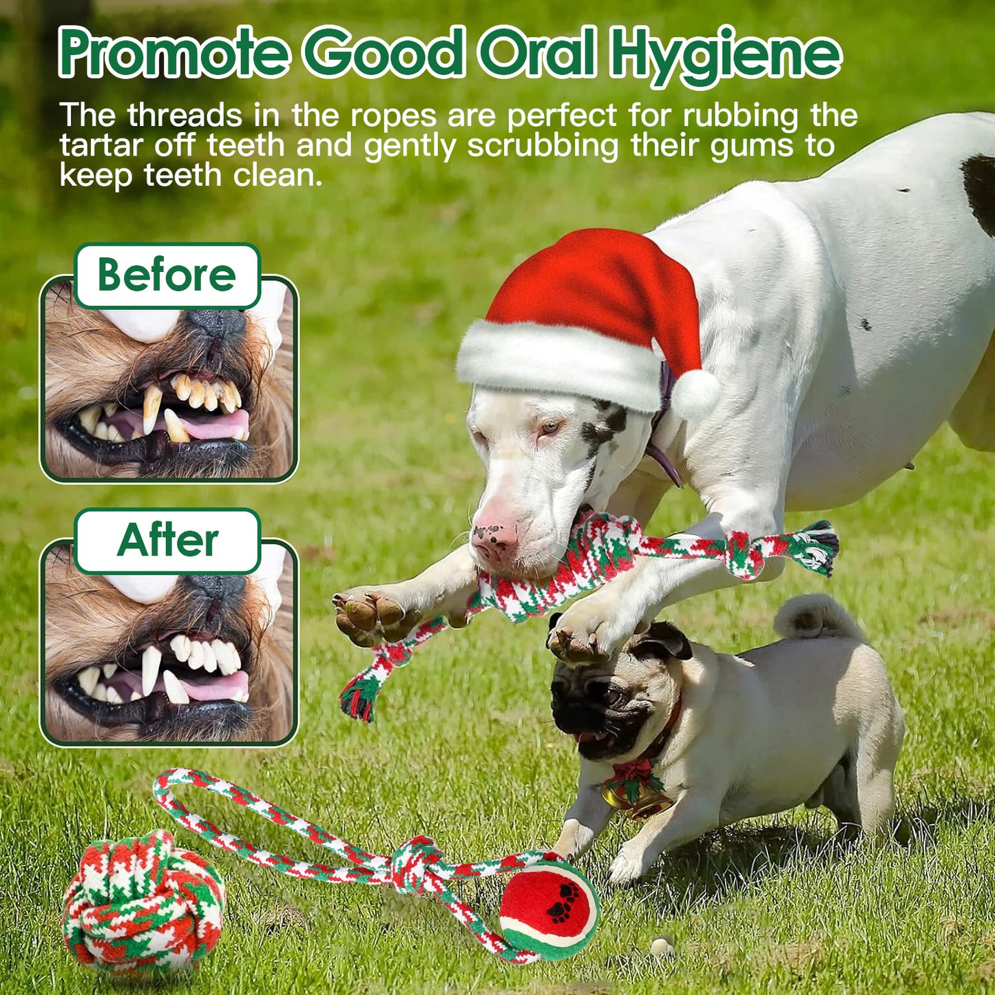5Pcs Christmas Dog Rope Chew Toy Set – Safe, Durable, and Festive Pet Toys