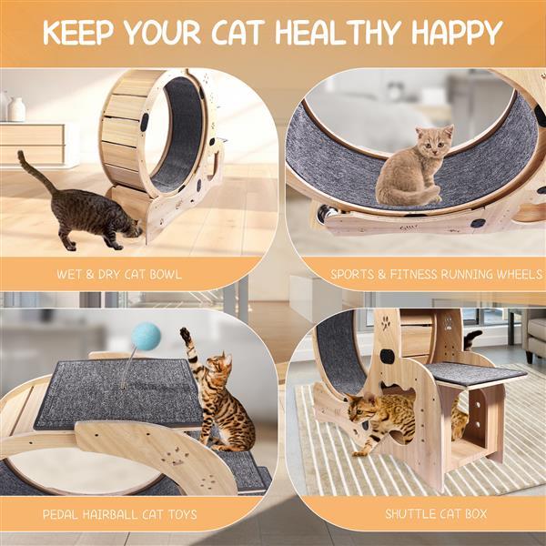 6-in-1 Cat Exercise Wheel – Upgraded Indoor Cat Running Wheel for Fitness & Play
