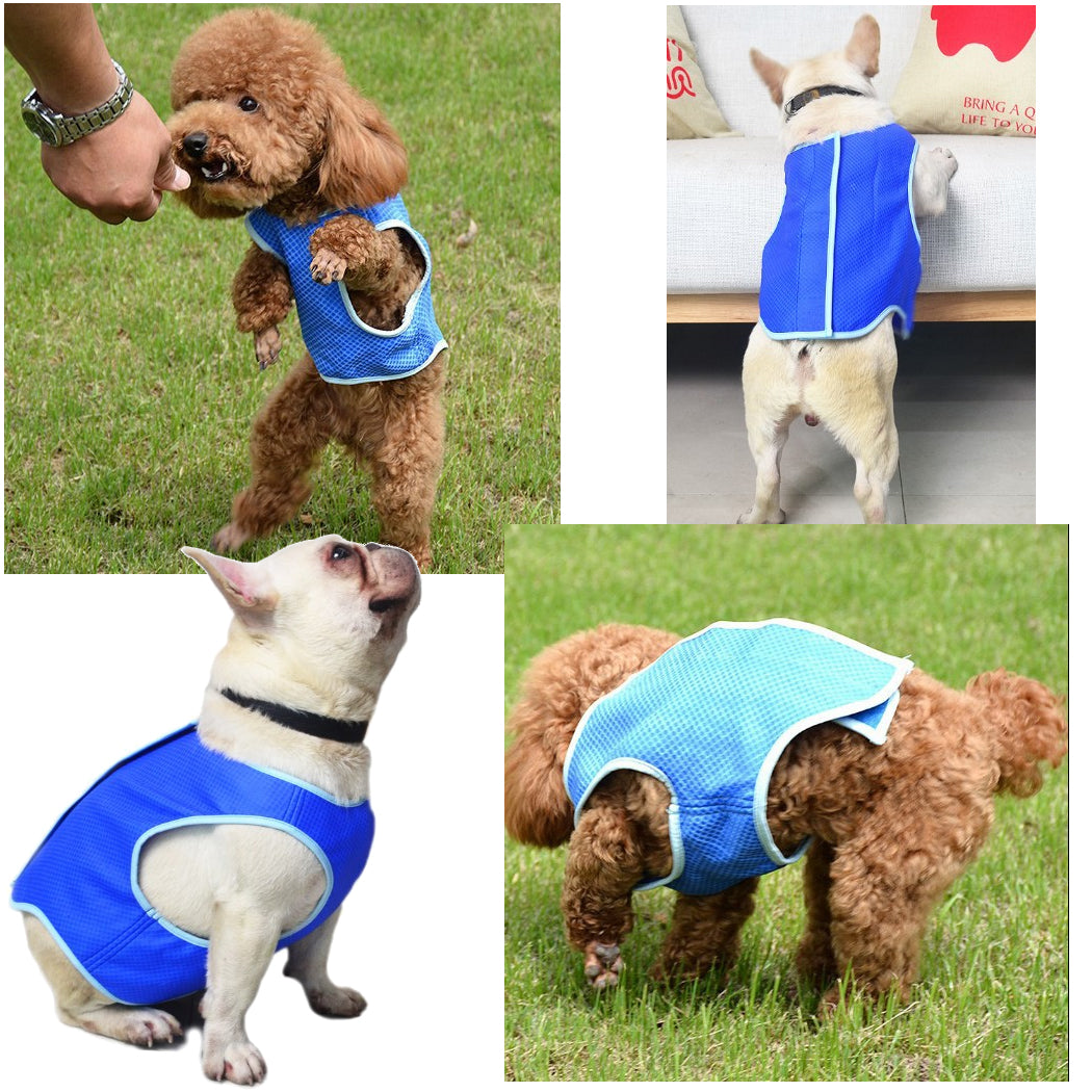 Dog Cooling Vest – Lightweight Summer Heat Relief for Dogs & Cats
