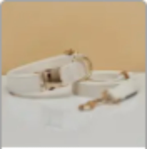 FieryFur Personalized Velvet Dog Collar & Leash Set with Bow – Custom Engraved Name Tag