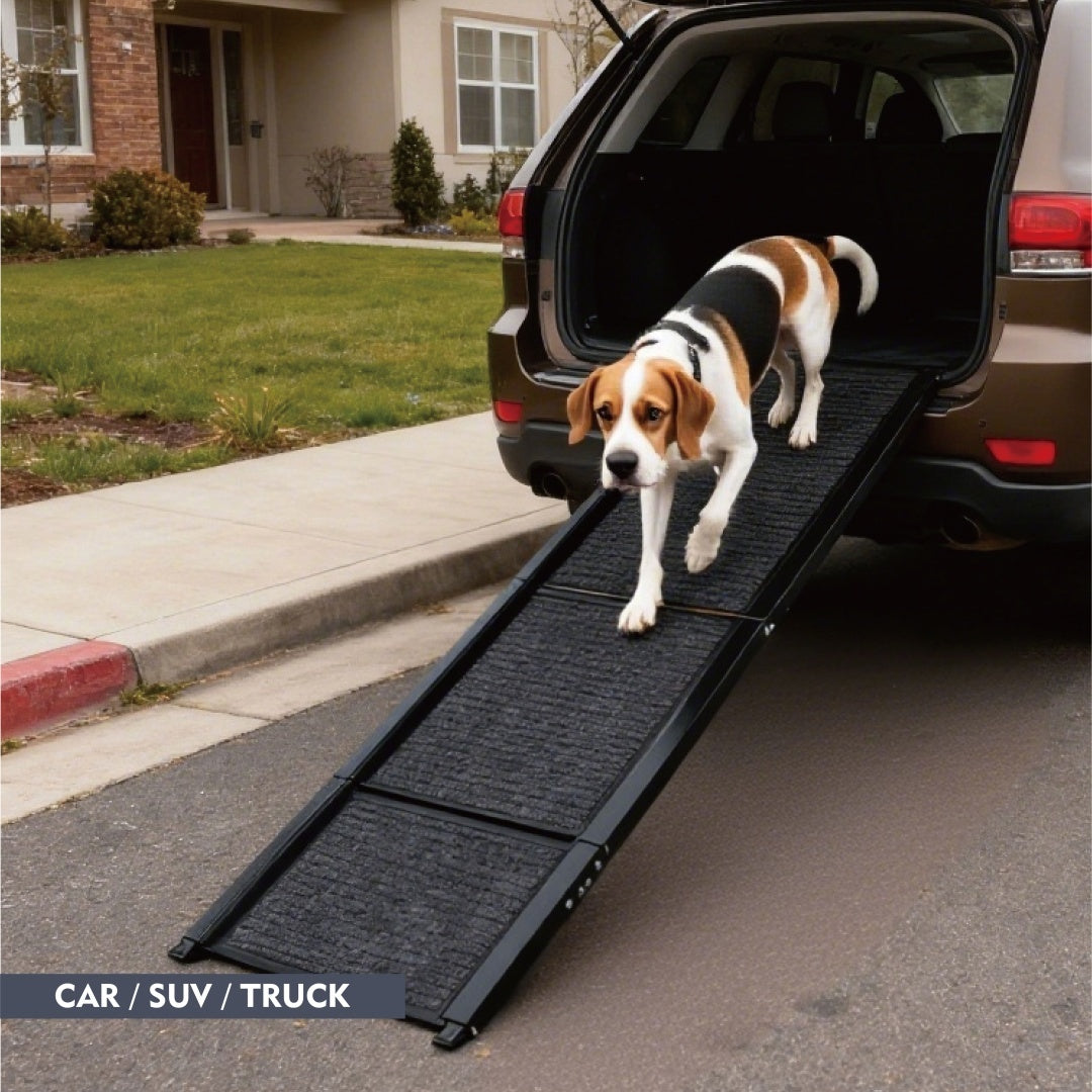 Fiery Steps Dog Ramp – Foldable Car Ramp for Medium & Large Dogs