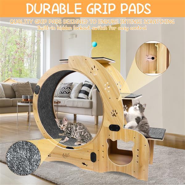 6-in-1 Cat Exercise Wheel – Upgraded Indoor Cat Running Wheel for Fitness & Play