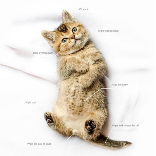 Pet Cleaning & Deodorizing Bathing Wipes – Nourishing Coconut Oil Grooming Gloves for Dogs and Cats