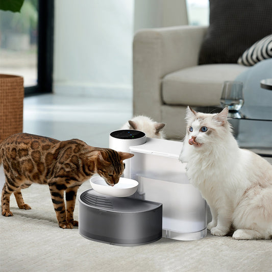 Smart Pet Water Fountain – 3L Cordless Rechargeable Automatic Water Dispenser for Cats and Dogs