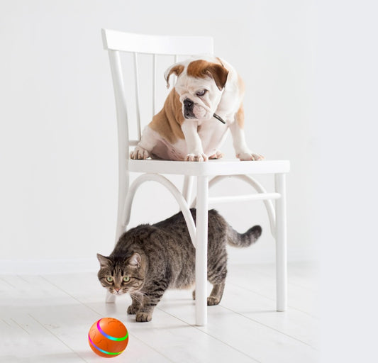 Intelligent Self-Rotating Cat Ball Toy – USB Rechargeable Interactive Play Ball