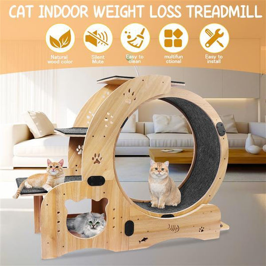 6-in-1 Cat Exercise Wheel – Upgraded Indoor Cat Running Wheel for Fitness & Play