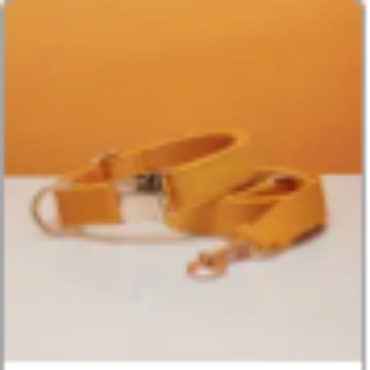 FieryFur Personalized Velvet Dog Collar & Leash Set with Bow – Custom Engraved Name Tag