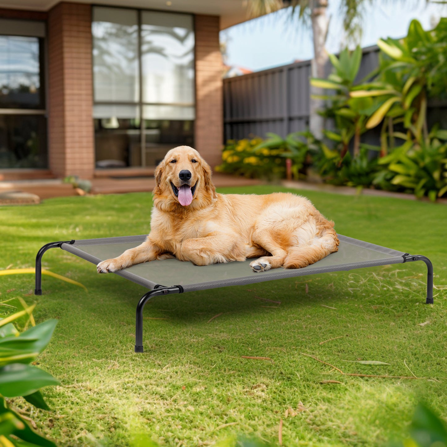 Elevated Dog Bed – Raised Comfort & Support