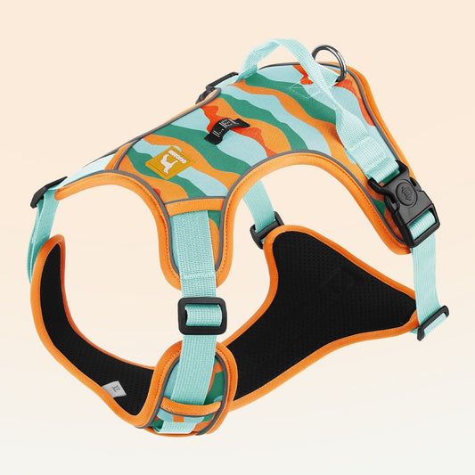 Dog Chest and Back Reflective Commuter Harness with Hand-Holding Rope – Comfortable, Safe & Stylish