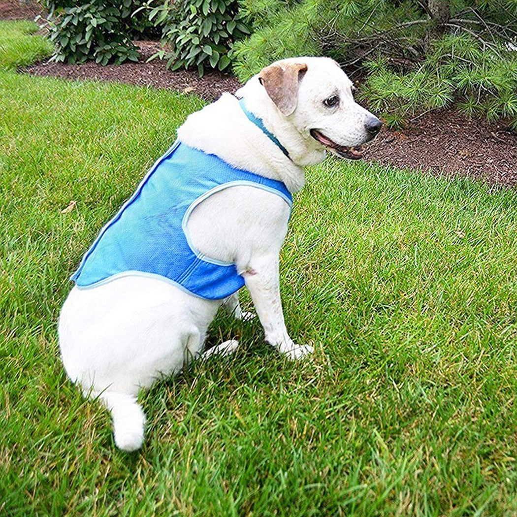 Dog Cooling Vest – Lightweight Summer Heat Relief for Dogs & Cats